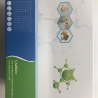 兔高密度脂蛋白胆固醇(HDL-C)ELISA试剂盒