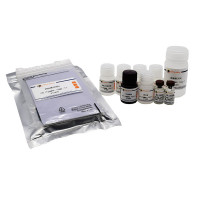 Porcine IL-1β ELISA Kit