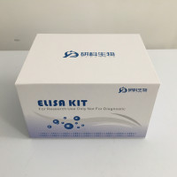 小鼠游离甲状腺素（FT4）定量检测试剂盒（ELISA）