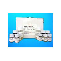 BRCA1-associated RING domain p