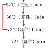 制川乌染料法鉴定试剂盒价格