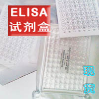 (PGE2实验),兔前列腺素E2试剂盒,