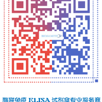 圆环病毒IgG 检测试剂盒