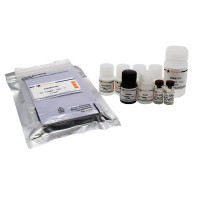 Porcine IL-6 ELISA Kit