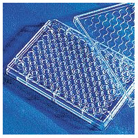 Rat TNF-α ELISA Kit，Valukine™