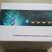 小鼠嗜酸粒细胞趋化因子(ECF)间接法Elisa试剂盒