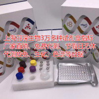 科研猪瘟抗体（CSF-Ab）ELISA试剂盒定性
