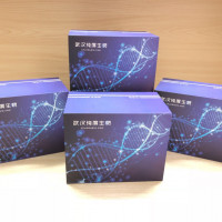 鸡补体1q(C1q)酶联免疫试剂盒