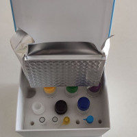 Human IAP ELISA KIT