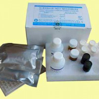 猪白介素10(IL-10)检测试剂盒