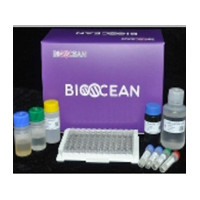 Bioocean Elisa 试剂盒--人