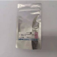 同仁化学  AD10  Annexin V, FITC Ap
