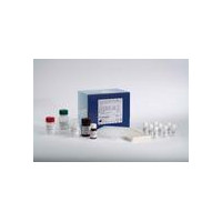 猪Bcl-2相关X蛋白(BAX)ELISA Kit