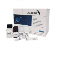 人巨细胞病毒(CMV)ELISA Kit，AE90960Hu