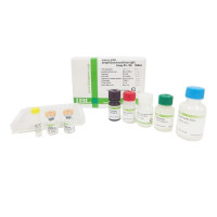 衰老调节器-人可溶性α-klotho ELISA 试剂盒