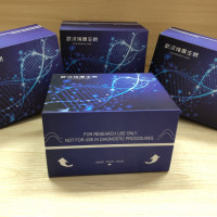 鸡血管紧张素II (ANG II)酶联免疫试剂盒
