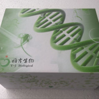 人抗肝细胞胞质1型抗体(LC1)Elisa试剂盒