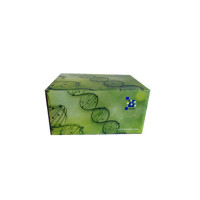 人COPB2蛋白（COPB2）ELISA检测试剂盒