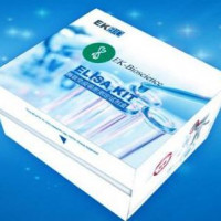 Monkey妊娠相关浆蛋白A(PAPPA)ELISAKit