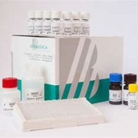 人血管生成素2 ELISA试剂盒 Angiopoietin