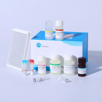 Mouse Inhba (Inhibin beta A ch