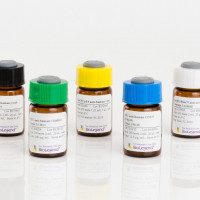 Ultra-LEAF™ Purified Human IgG