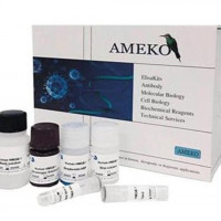 鱼Ⅲ型胶原(COL-Ⅲ)ELISA Kit，AE98511F