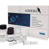 犬瘟热病毒抗体（CDV Ab）ELISA Kit，AE938