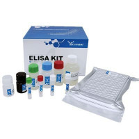 金刚烷胺ELISA试剂盒【Amantadine ELISA