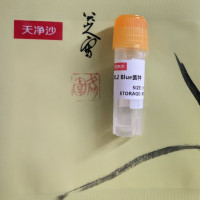 SP6 RNA转录标记试剂盒（生物素标记）