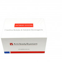 Canrenone/CRN ELISA Kit