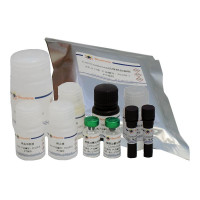 Corticosterone ELISA Kit
