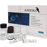 犬细小病毒抗体(CPV-Ab) ELISA Kit 定性