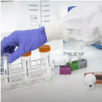 PEDV 刺突糖蛋白（RBD）ELISA 试剂盒