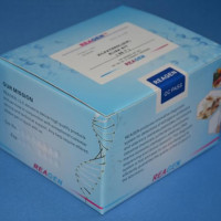 鸡促甲状腺激素胚胎因子(TEF)ELISA试剂盒