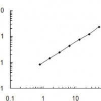Bovine ENPP6 ELISA KIT