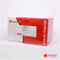 人基质金属蛋白酶7 ELISA KIT