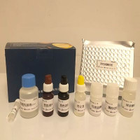 牛肿瘤坏死因子α(TNF-α)ELISA试剂盒