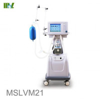 New MSL MSLVM21