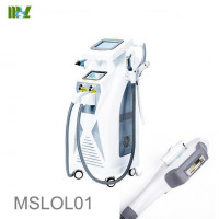 New MSL MSLOL01