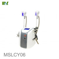 New MSL MSLCY06