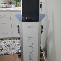 Used BTL EmSculpt