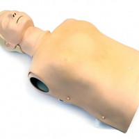 Used - Good LAERDAL Resusci Anne