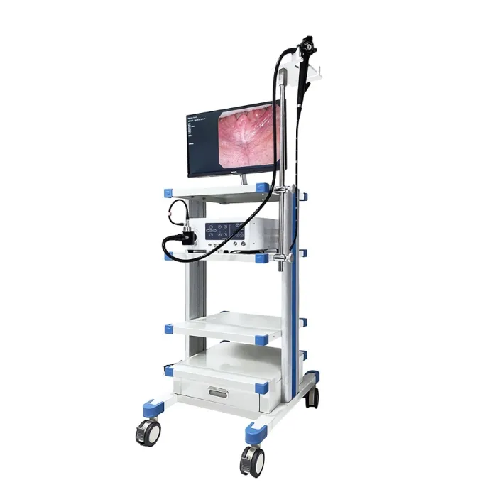 New MSL MSLSY26