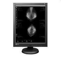 Used - Good EIZO RadiForce GX540
