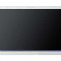 Used - Good OLYMPUS OEV262H