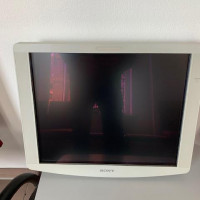 Used SONY LMD-1951MD