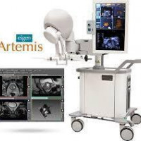 Pre-Owned - Excellent EIGEN Artemis Profuse