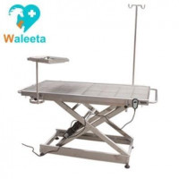 New WALEETA WT-01