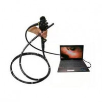 New WALEETA WBS-10 USB